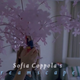 Illustration for article titled Let’s examine the visual aesthetic of Sofia Coppola’s work